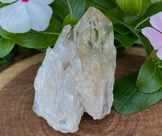 Congo Citrine -The Manifesting Abundance Crystal