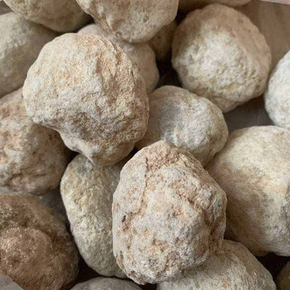 Natural White Agate Geodes Unopened