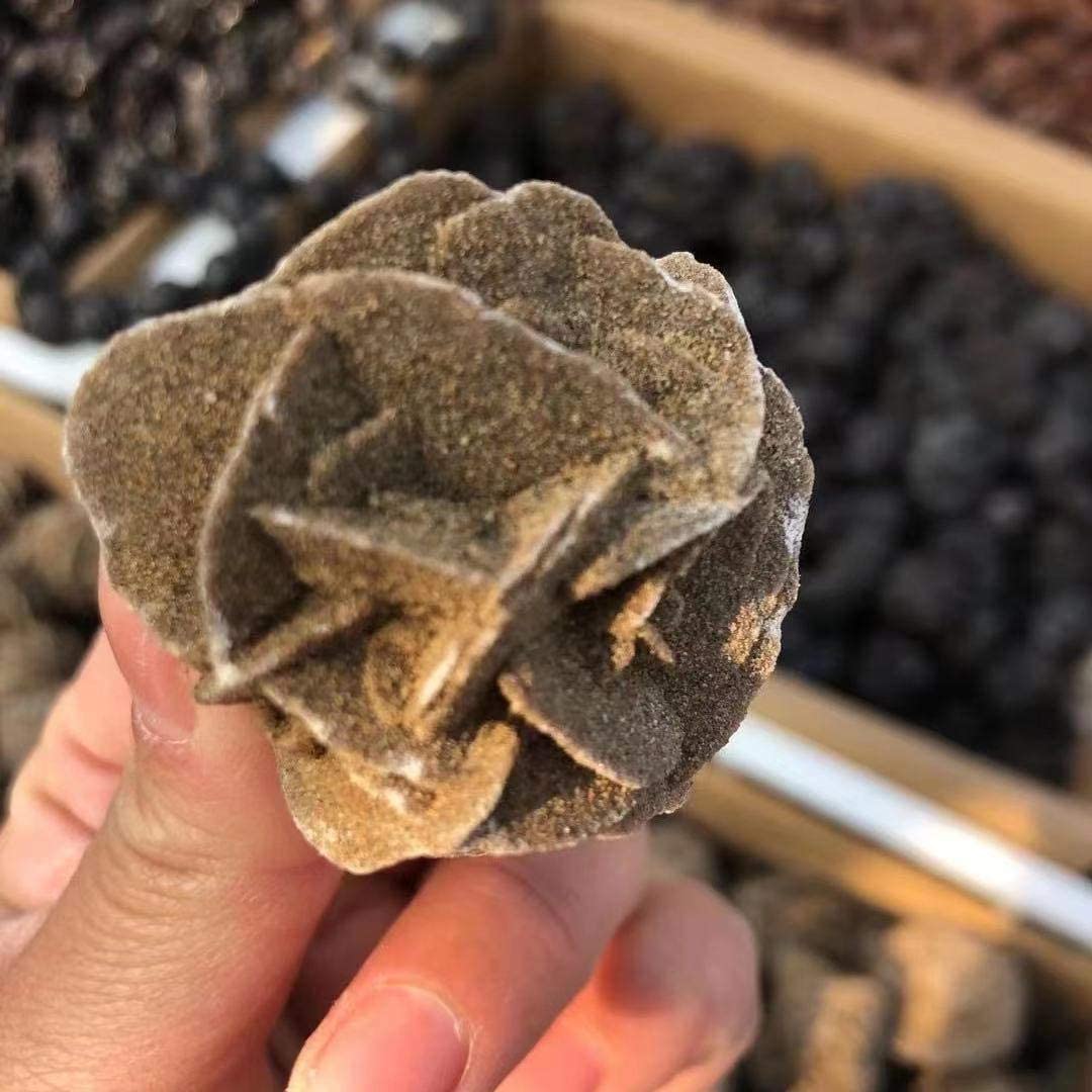 Natural Mineral Selenite Desert Rose