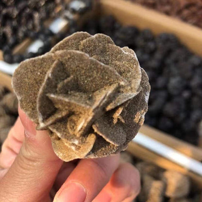 Natural Mineral Selenite Desert Rose