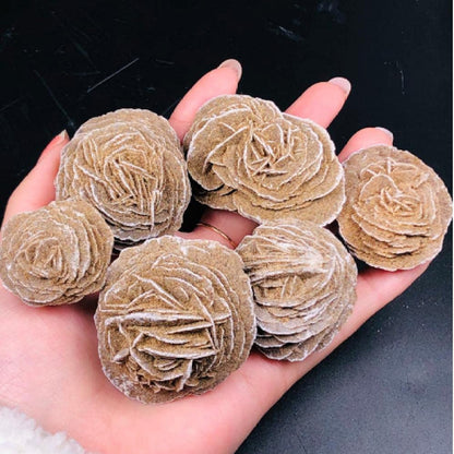 Natural Mineral Selenite Desert Rose