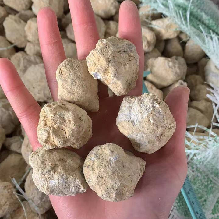 Natural White Agate Geodes Unopened