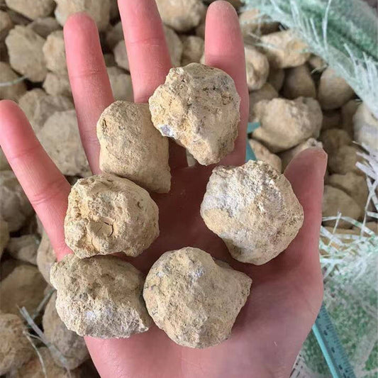 Natural White Agate Geodes Unopened