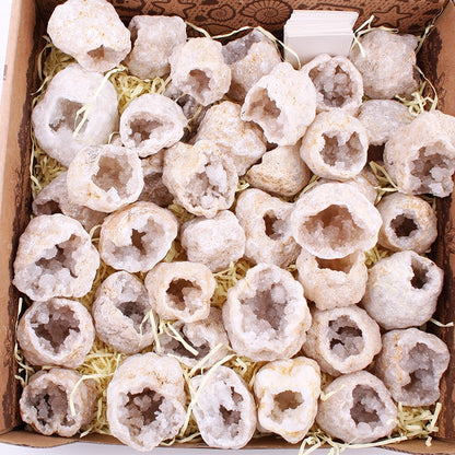 Oco Agate Natural Oco Agate Druzy Geodes Crystals