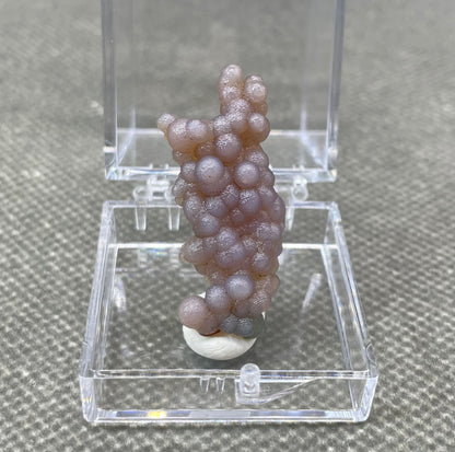 100% Natural Grape Agate Mineral Specimen Crystals