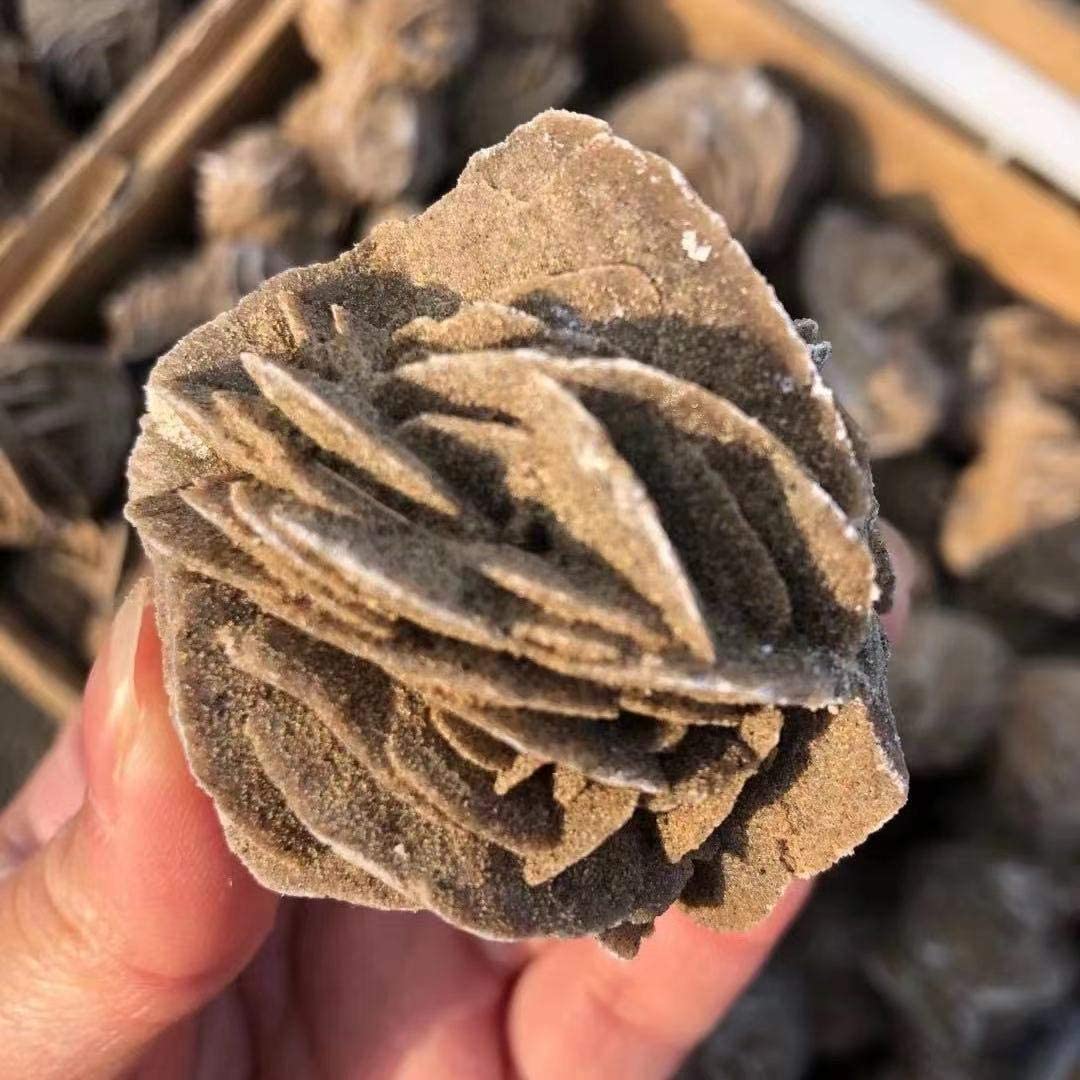 |5:200000990#3-5cm (1.2-2 inch)