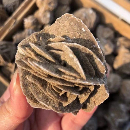 |5:200000990#3-5cm (1.2-2 inch)